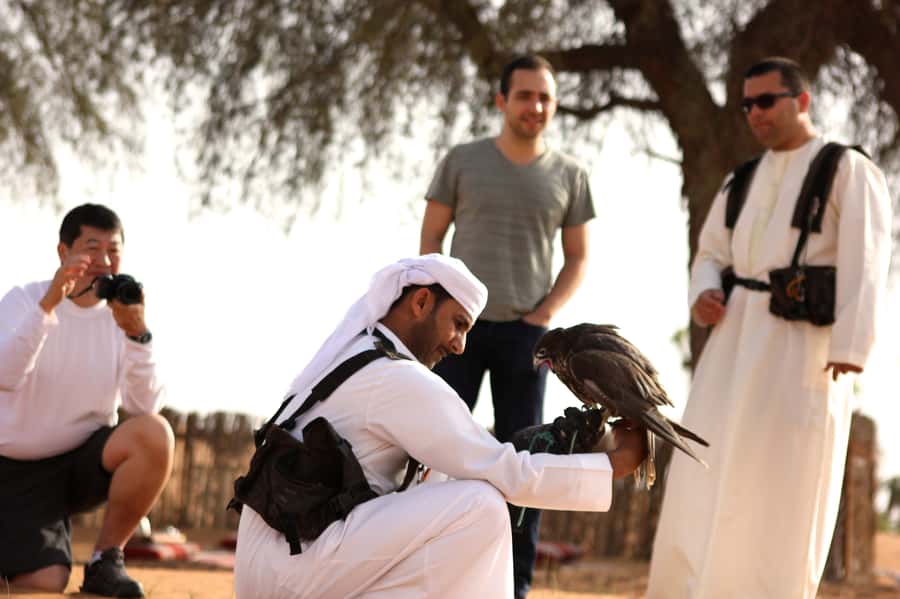 Dubai Falconry Safari - Wildlife in the conservation reserve