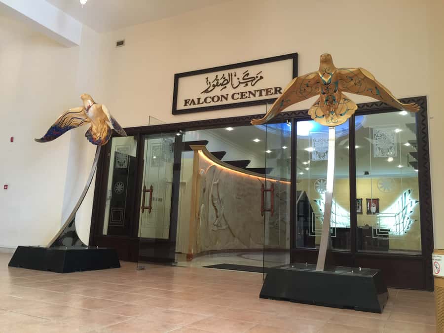 Dubai Falconry Safari - Taking the glove and flying the birds