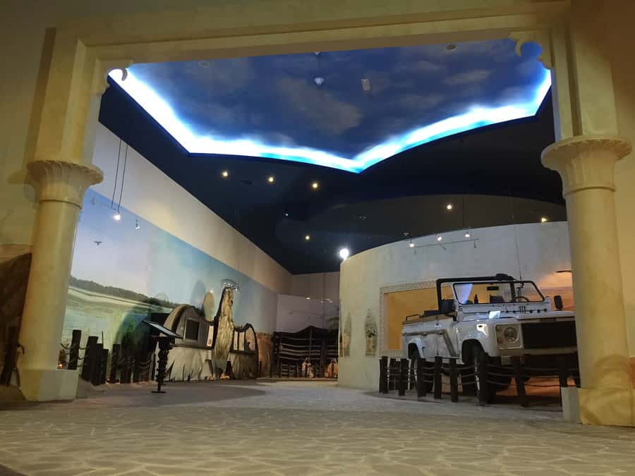 Dubai Falconry Safari - How the small group changes the morning