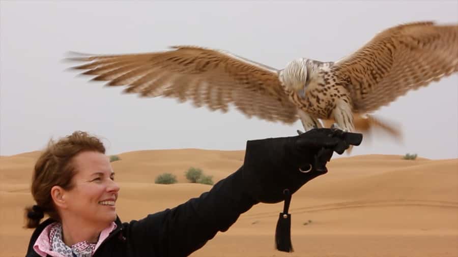 Dubai Falconry Safari - Before sunrise in the Dubai desert