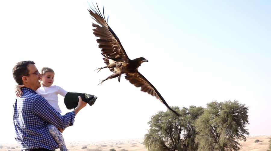 Dubai: Private Falconry Safari - Arabic coffee, dates, and the Emirati Falcon Hunting Camp