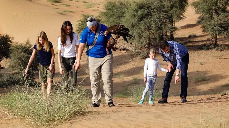 Dubai: Private Falconry Safari - The drive into Dubai Desert Conservation Reserve