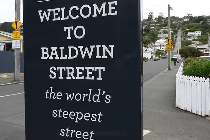 Dunedin City Highlights, Otago Peninsula Scenery & a Guided Penguin Reserve Tour - Key points to know before booking