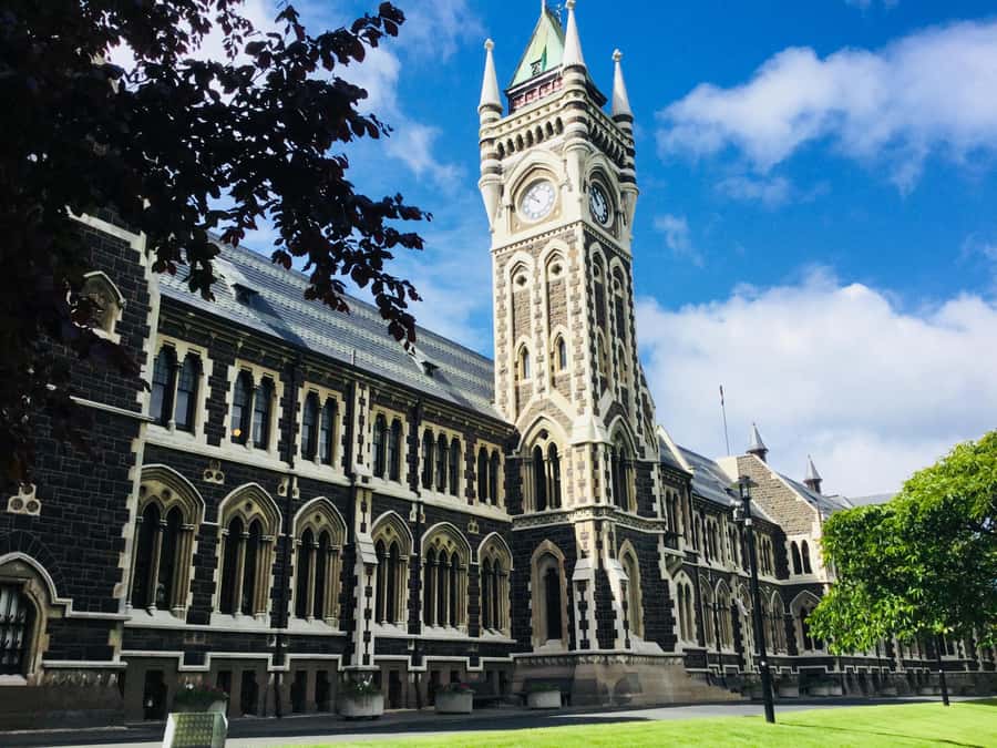 Dunedin: Otago Peninsula with Guided Penguin Reserve Tour - Who will get the most from this outing