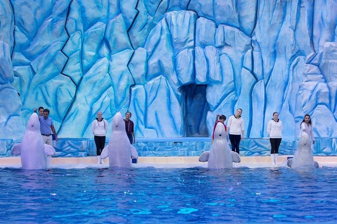 E-Ticket: Zhuhai Chimelong Ocean Kingdom, Circus & Penguin Hotel 1-night Coupon - Key points to know before booking
