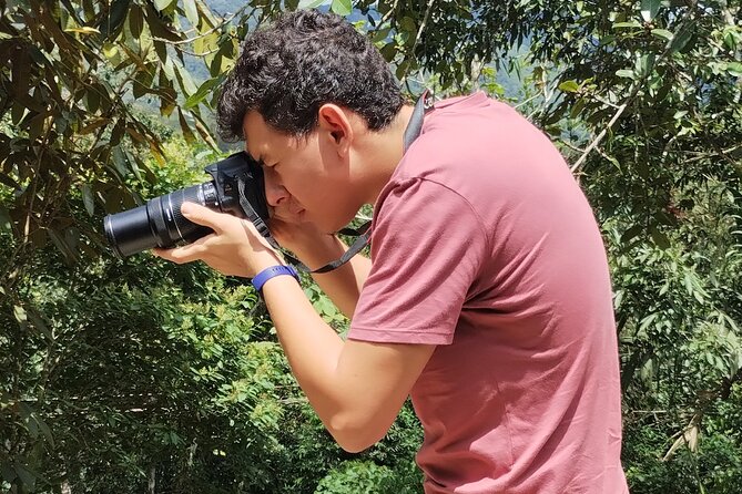 Easy Birdwatching in Cali Colombia (4 Hours) - Coffee, cool air, and a closer look at the ecosystem
