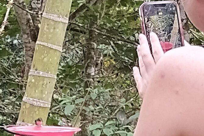 Easy Birdwatching in Cali Colombia (4 Hours) - A short farm stop with baby goats