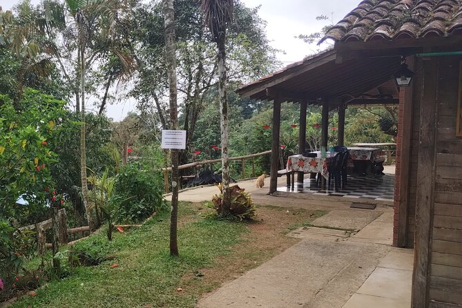 Easy Birdwatching in Cali Colombia (4 Hours) - Private touring and the right pace