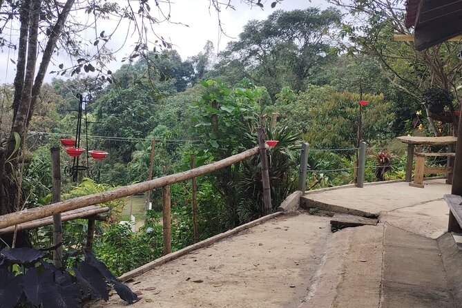 Easy Birdwatching in Cali Colombia (4 Hours) - A note about transport reliability