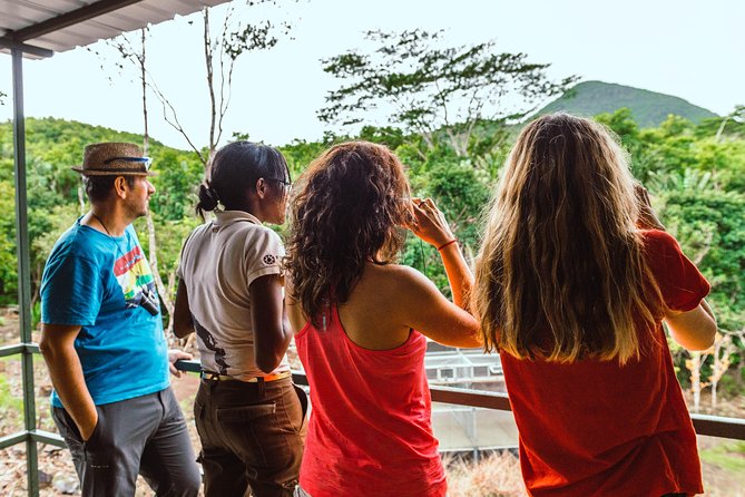 Ebony Forest Reserve Chamarel: Endemic Birdwatching Guided Tour - Why Ebony Forest Is Worth Your Morning