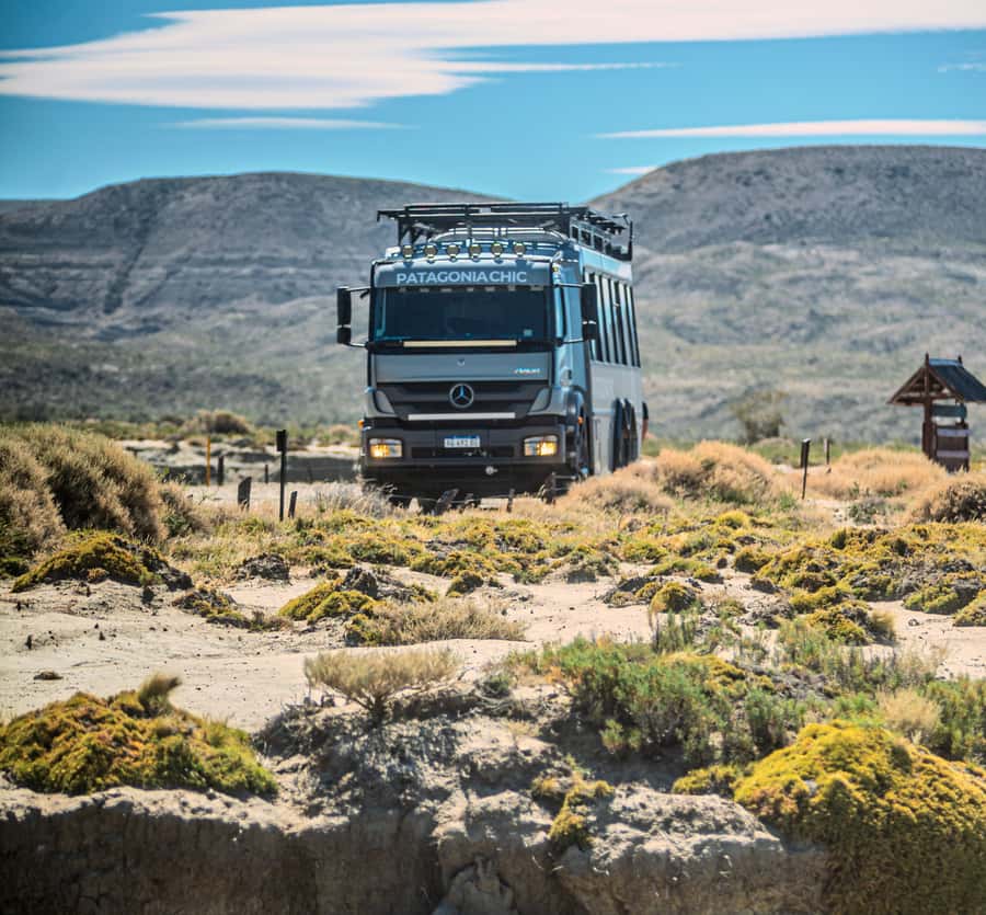 El Calafate: Monte León 4x4 Wolves and Penguins Excursion - Food, guides, and what the $250 covers