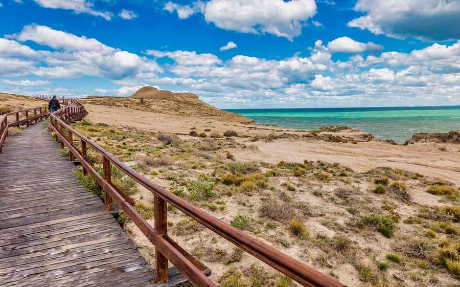 El Calafate: Monte León 4x4 Wolves and Penguins Excursion - What to pack for the coast