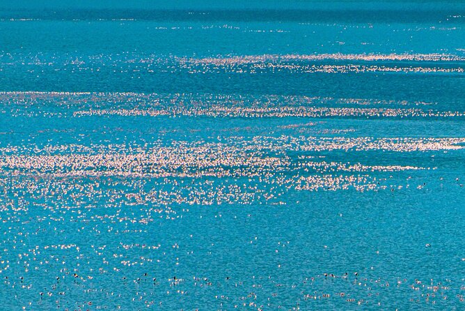 Escape to Lake Bogoria, Flamingo's new home for an overnight safari - Why this two-day route works