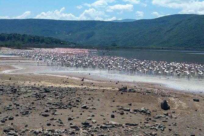 Escape to Lake Bogoria, Flamingo's new home for an overnight safari - The private guide and custom-route advantage