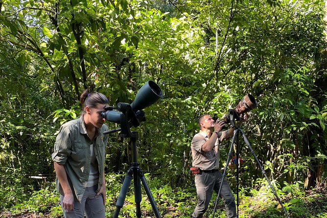 Esquipulas Rainforest - Private Birding - Fully Customizable Tour - Why Esquipulas is worth the early alarm