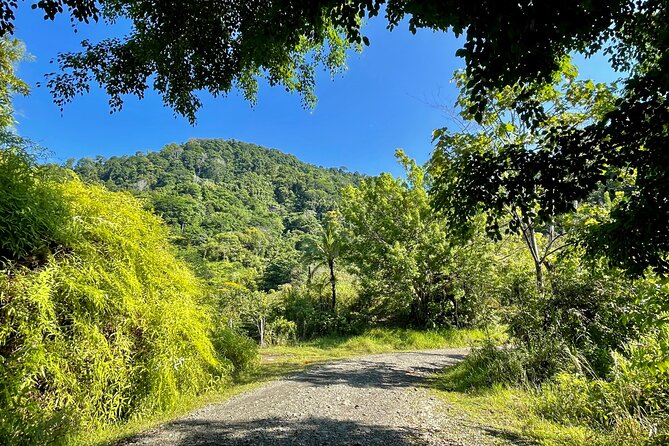 Esquipulas Rainforest - Private Birding - Fully Customizable Tour - The ride from Quepos and Manuel Antonio