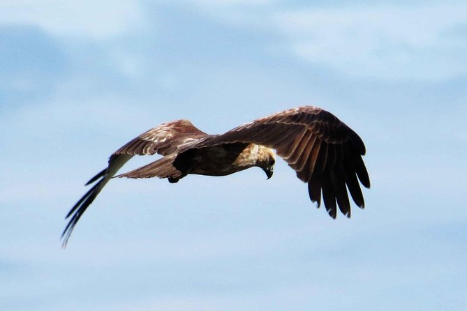 Exclusive: Muthurajawela Bird Watching Tour with Transfers - Arriving at the wetland sanctuary