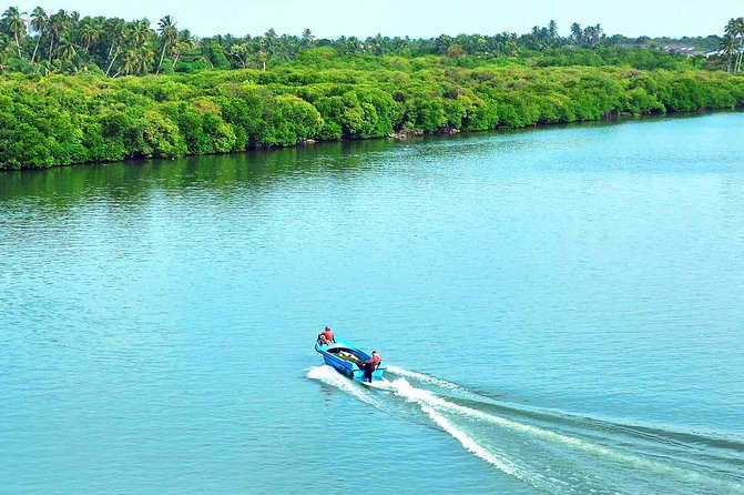 Exclusive: Muthurajawela Bird Watching Tour with Transfers - What the $35 price includes