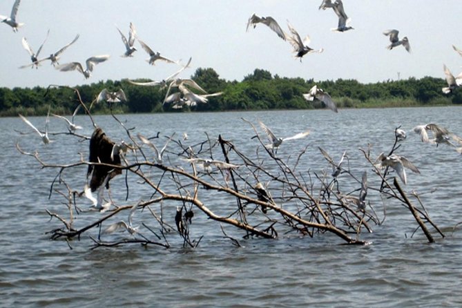 Exclusive: Muthurajawela Bird Watching Tour with Transfers - Who will enjoy this tour most