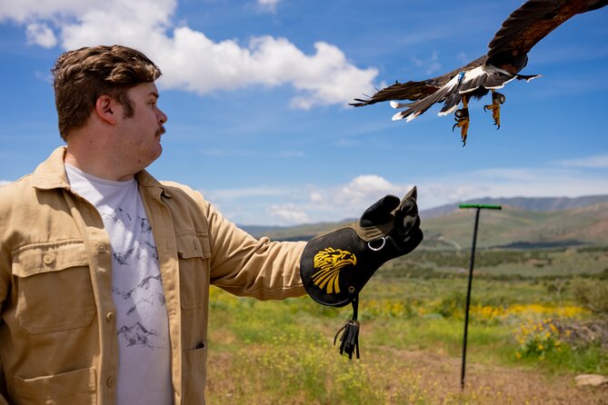 Experience Raptors and Falconry in Reno - The first lesson: how falconry works