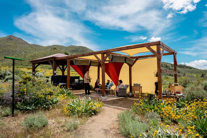Experience Raptors and Falconry in Reno - Holding a hawk, falcon, and owl