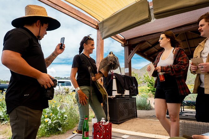 Experience Raptors and Falconry in Reno - Practical details that affect your day