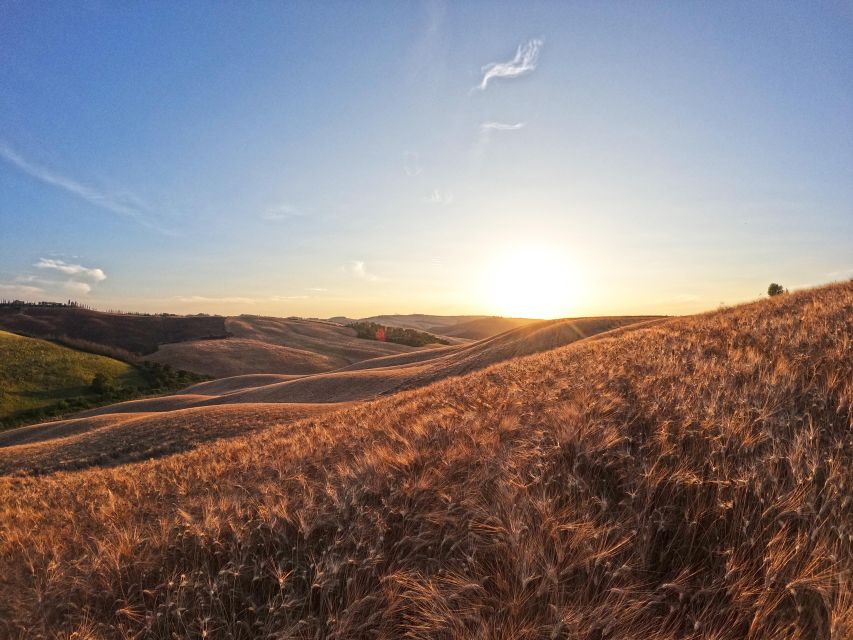 Experience with birds of prey in Tuscany - Meeting falconry in the Crete Senesi