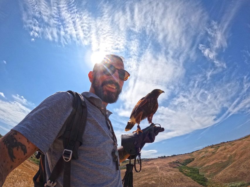 Experience with birds of prey in Tuscany - Ivy the Asian steppe eagle and the second flight
