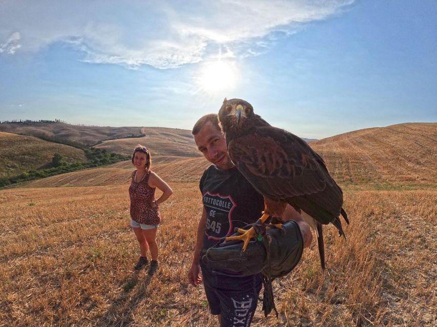 Experience with birds of prey in Tuscany - A short walk with big Tuscan views