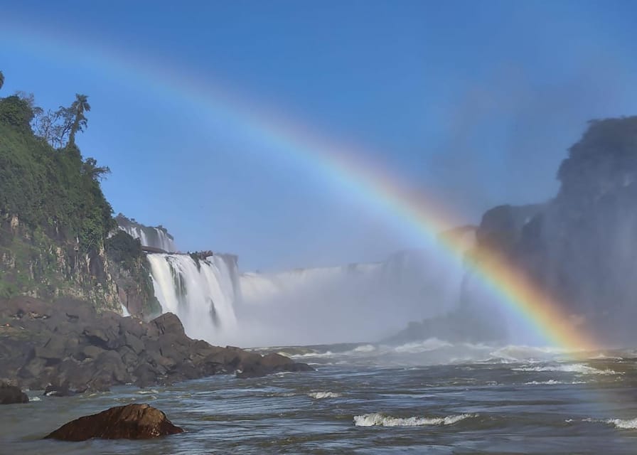 Explore Iguazu Falls and Bird Park: Complete Tour - Starting the day in the Atlantic Forest