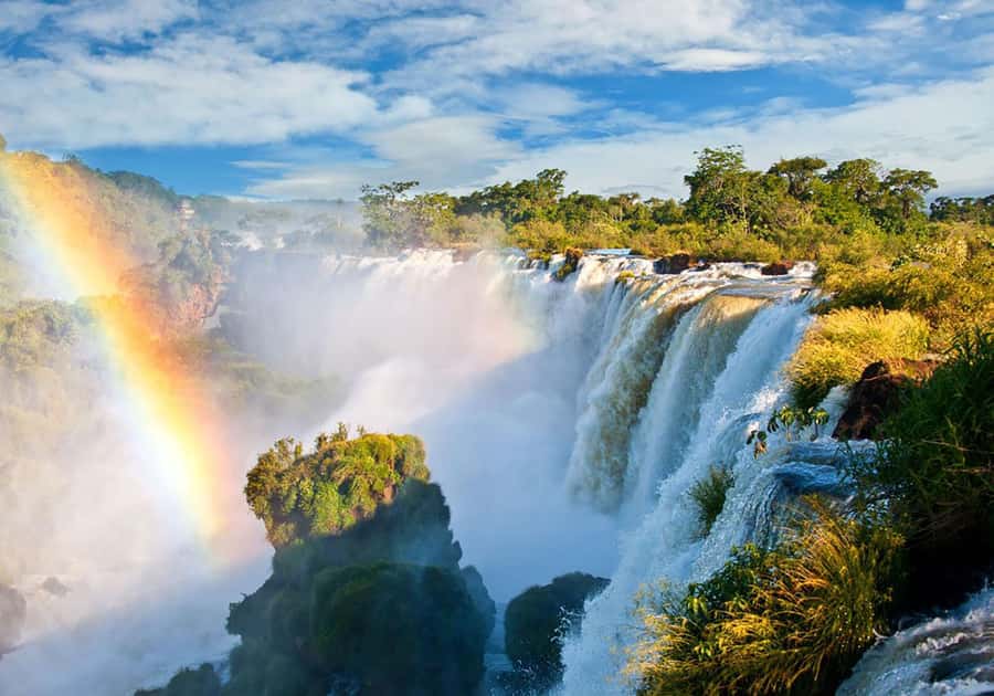 Explore the Falls, Bird Park and Macuco Safari - A guided walk among trees, streams, and small waterfalls