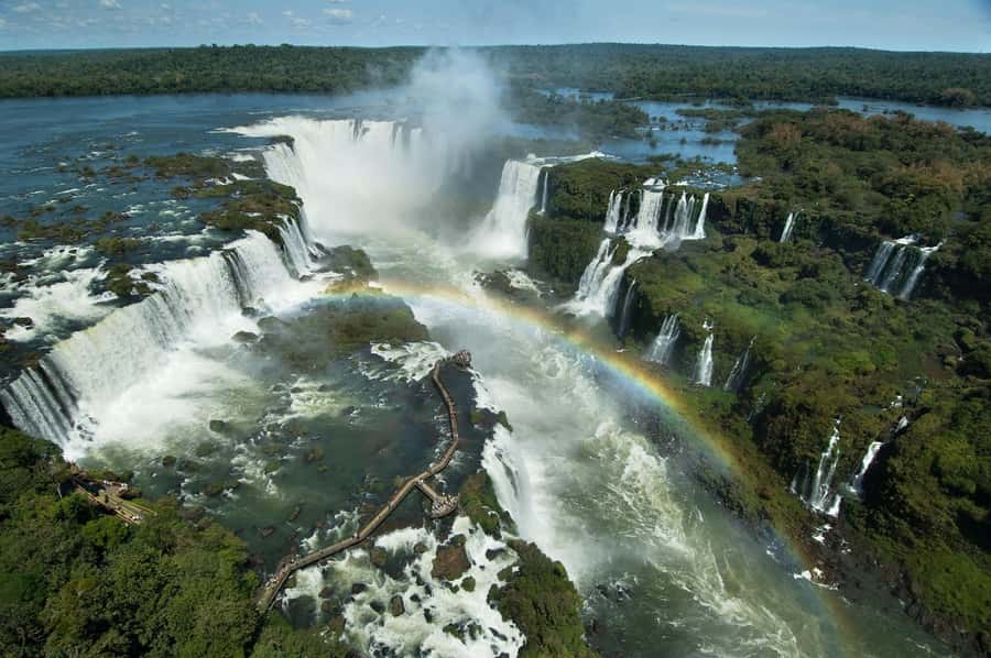 Explore the Falls, Bird Park and Macuco Safari - Panoramic views and the Brazilian park experience