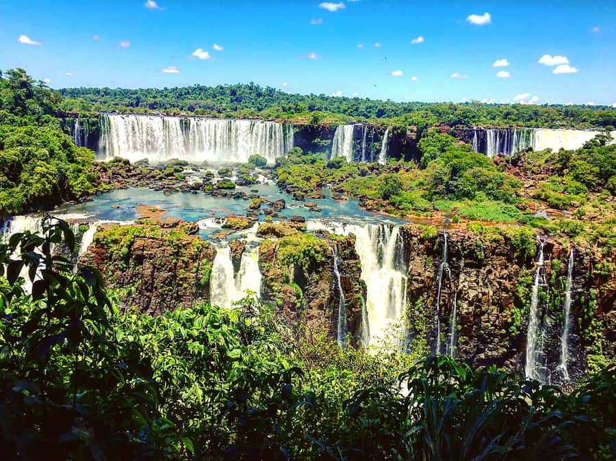 Explore the Falls, Bird Park and Macuco Safari - Parque das Aves, a close look at Brazilian birdlife
