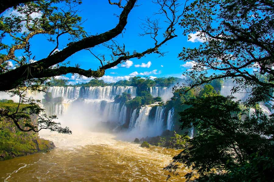 Explore the Falls, Bird Park and Macuco Safari - Who will enjoy this Iguazu day most?
