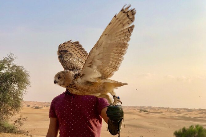 Falcon 1—Private Dubai Falconry Safari - Who will enjoy this Dubai falconry safari?