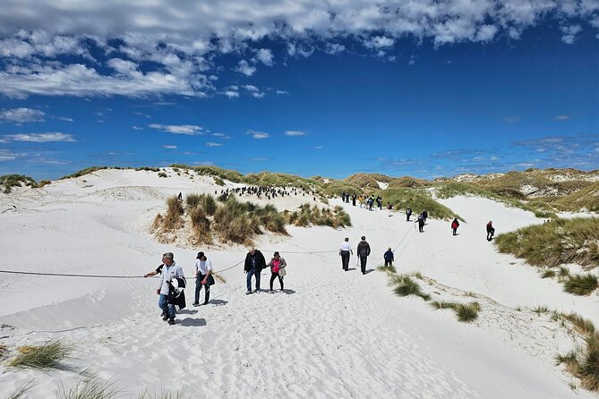 Falkland Islands Shared Tour Sightseeing with Penguins - A museum option after the tour