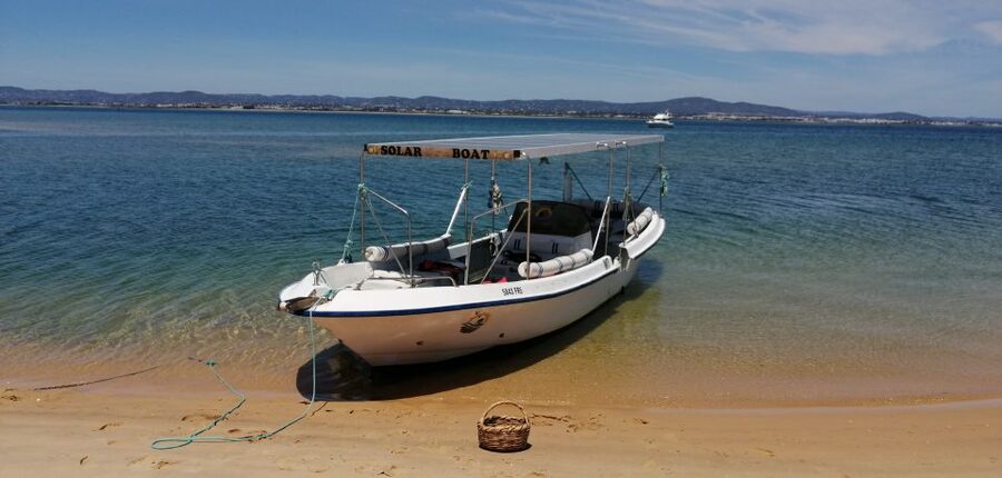 Faro: Eco-Friendly Ria Formosa Bird Watching in Solar Boat - The birds you may see from the boat