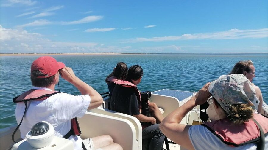 Faro: Ria Formosa Eco Birdwatching Boat Tour - Starting at Cais das Portas do Mar