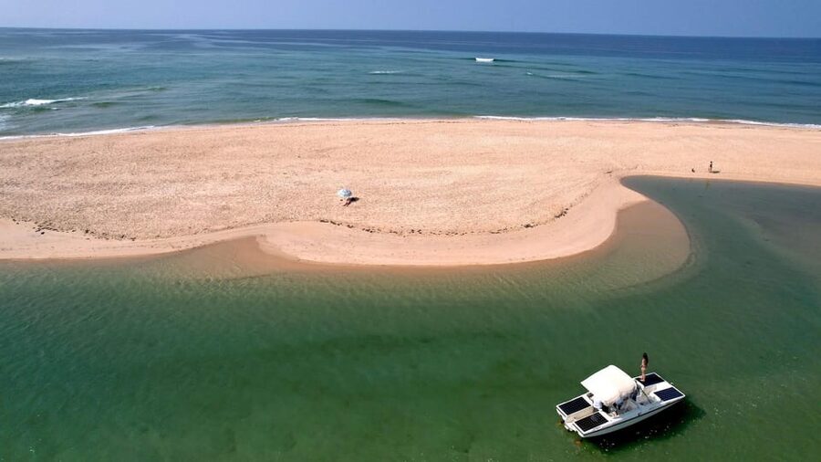 Faro: Ria Formosa Eco Birdwatching Boat Tour - Who will enjoy this trip most