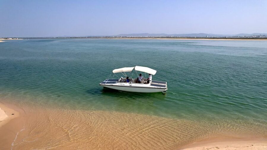 Faro: Ria Formosa Eco Birdwatching Boat Tour - Gliding into the Ria Formosa