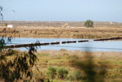 Ria Formosa Natural Park Segway Tour & Birdwatching