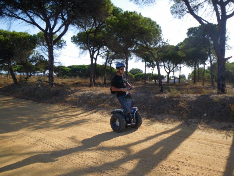 Faro: Ria Formosa Natural Park Segway Tour & Birdwatching - Birdwatching in a protected coastal reserve