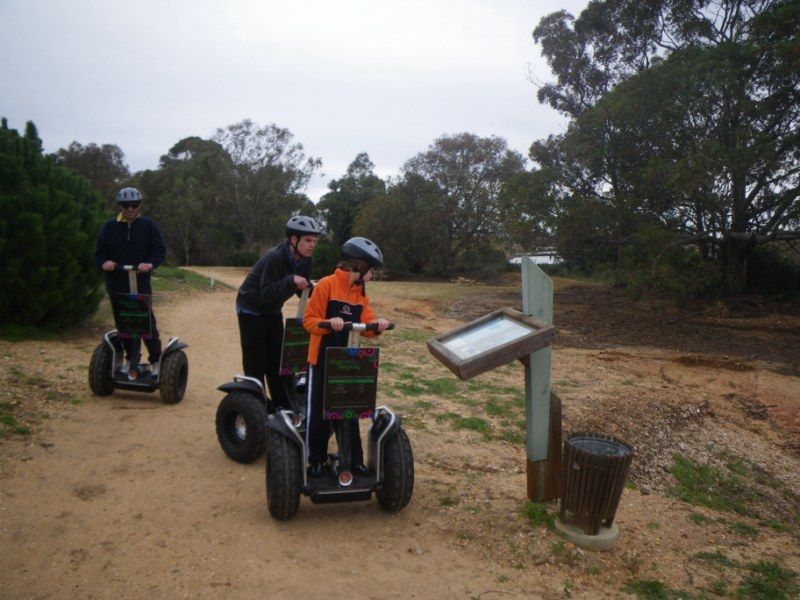 Faro: Ria Formosa Natural Park Segway Tour & Birdwatching - Salt production, plants, and the human side of the park