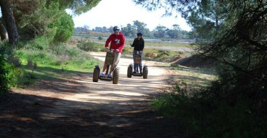 Faro: Ria Formosa Natural Park Segway Tour & Birdwatching - Price, timing, and meeting-point details