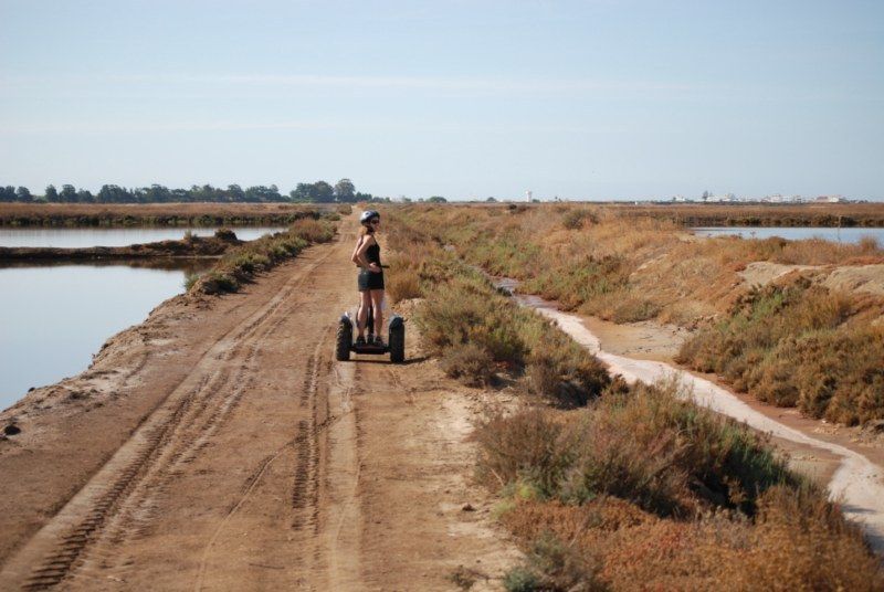 Faro: Ria Formosa Natural Park Segway Tour & Birdwatching - The best season for birds and the best season for comfort