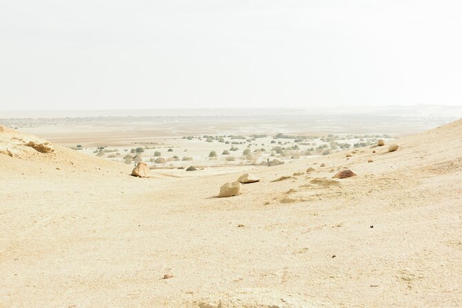 Fayoum Full Day tour Bird Watching - Timing, Pickup Areas, and Extra Charges