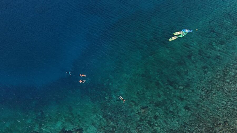Flamingo Beach: Guided SUP and Snorkeling experience - Should you book the SUP and snorkeling session?