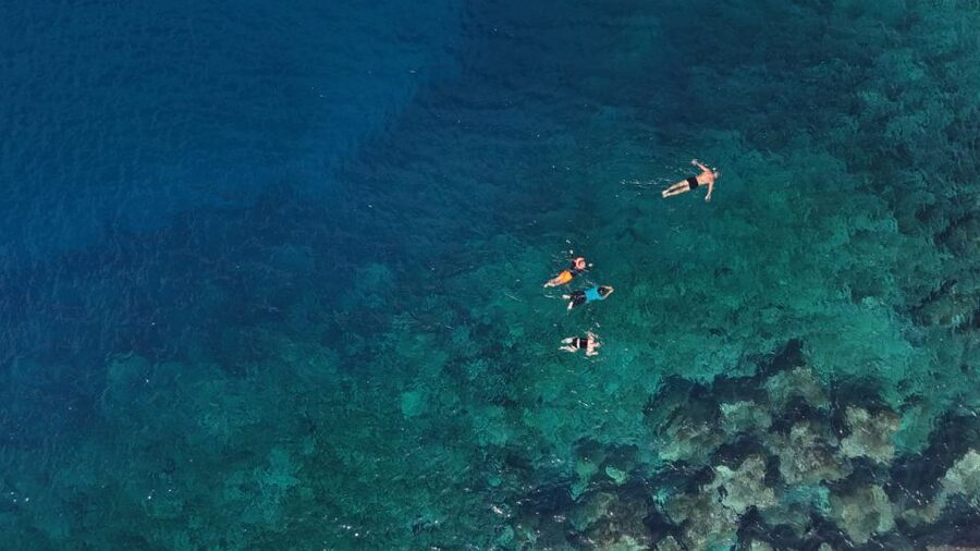 Flamingo Beach: Guided SUP and Snorkeling experience - Snorkeling with fish names and useful clues