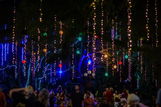 Flamingo Gardens' Garden of Lights - What the $24 evening ticket actually gives you