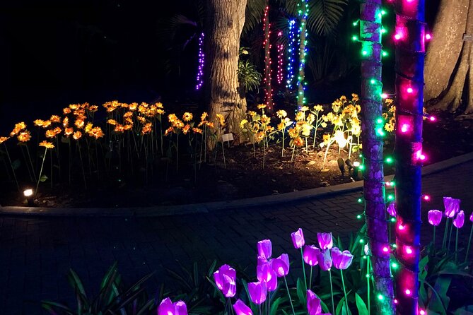 Flamingo Gardens' Garden of Lights - Weekend artisan markets and holiday treats